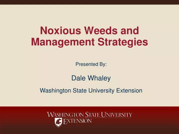 noxious weeds and management strategies