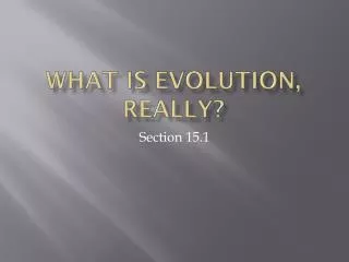 What is evolution, really?