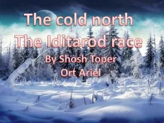 The cold north The Iditarod race By Shosh Toper Ort Ariel