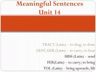 Meaningful Sentences Unit 14