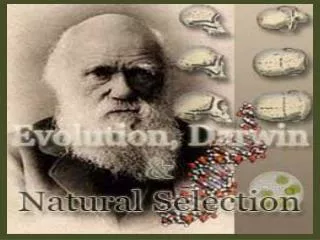 Charles Darwin (1809-1882) and The Galapagos Islands