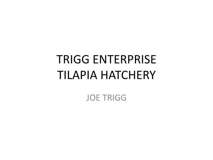 trigg enterprise tilapia hatchery