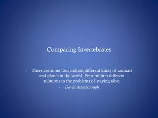 Comparing Invertebrates