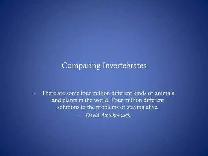 comparing invertebrates