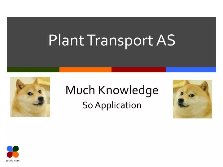 plant transport as