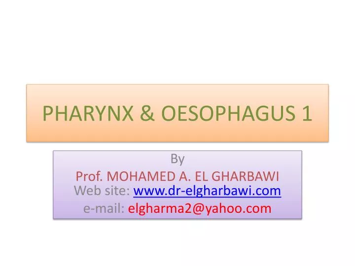 pharynx oesophagus 1