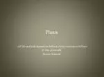 Plants - slide 1