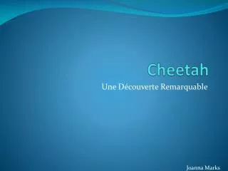 cheetah