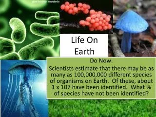 life on earth