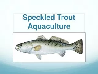 Speckled T rout Aquaculture
