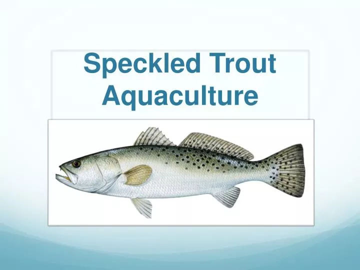 speckled t rout aquaculture