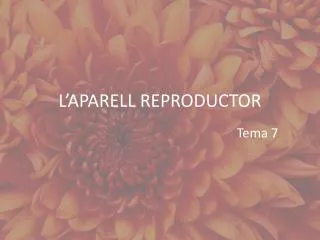 l aparell reproductor