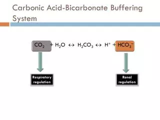 Carbonic Acid-Bicarbonate Buffering System