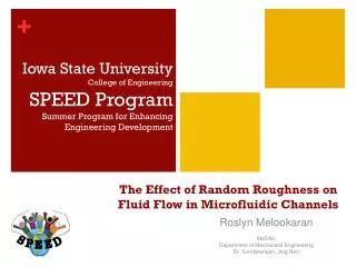 The Effect of Random Roughness on Fluid Flow in Microfluidic Channels