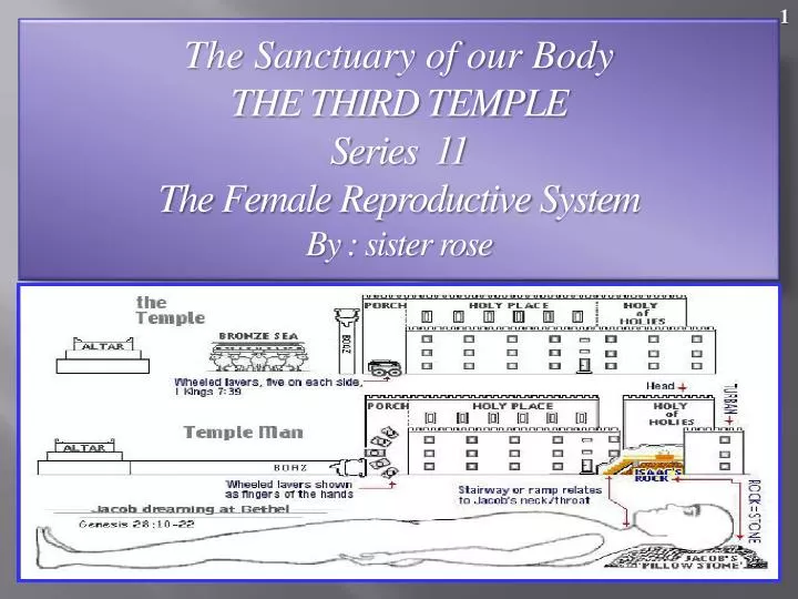 the sanctuary of our body the third temple series 11 the female reproductive system by sister rose