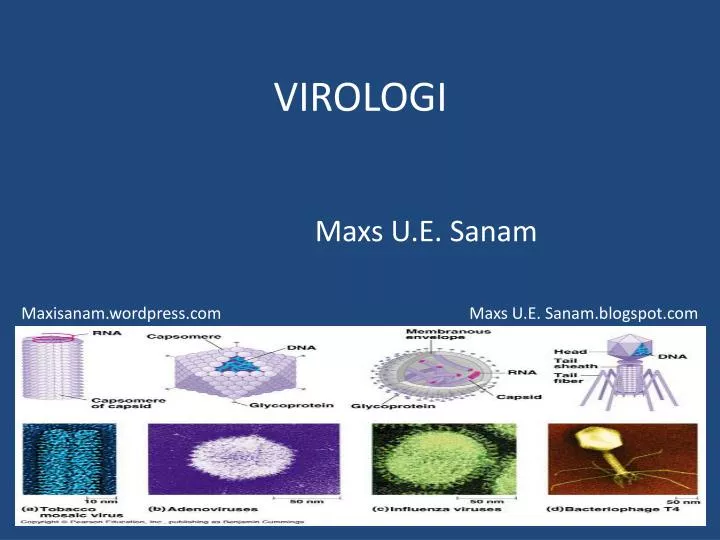 virologi