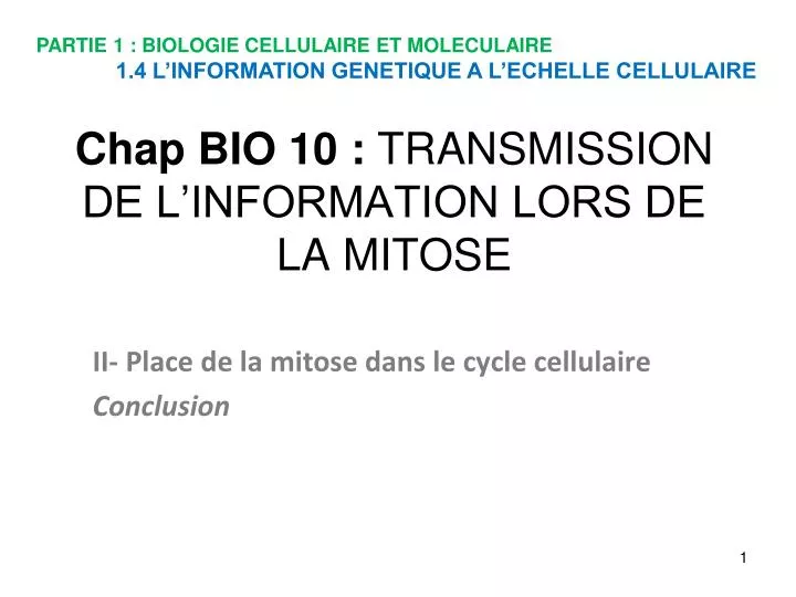 chap bio 10 transmission de l information lors de la mitose