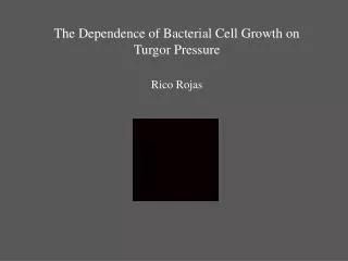 The Dependence of Bacterial Cell Growth on Turgor Pressure