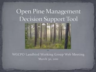 Open Pine Management Decision Support Tool