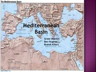 Mediterranean Basin