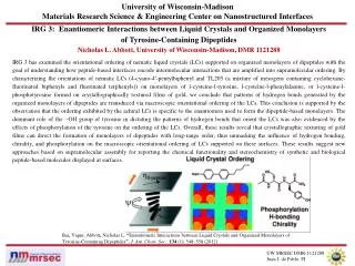 IRG 3: Enantiomeric Interactions between Liquid Crystals and Organized Monolayers