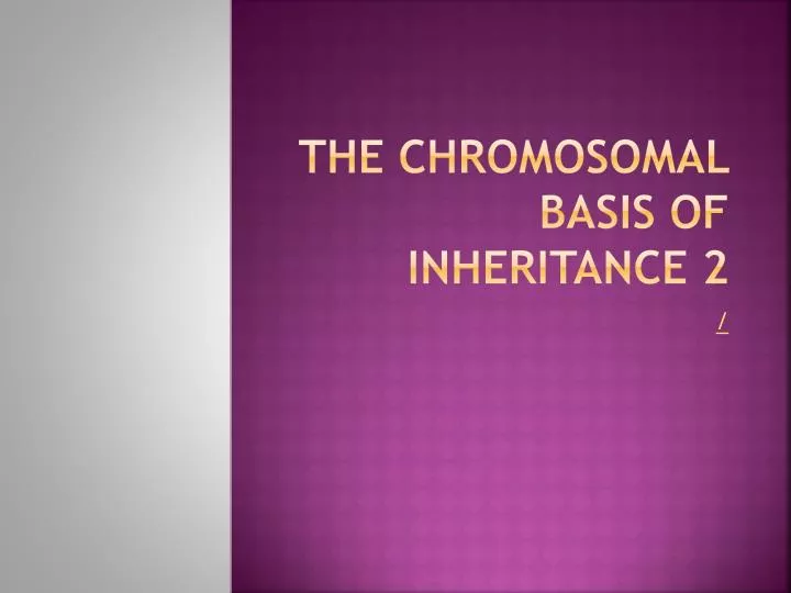 the chromosomal basis of inheritance 2