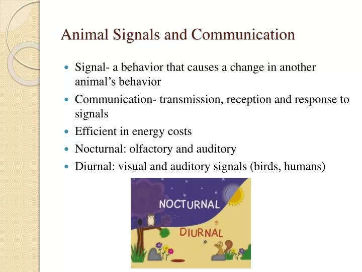 animal signals and communication