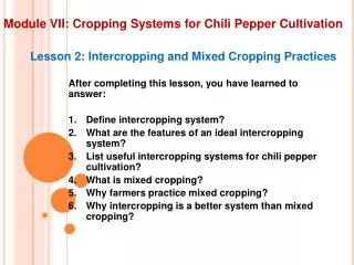 Module VII: Cropping Systems for Chili Pepper Cultivation