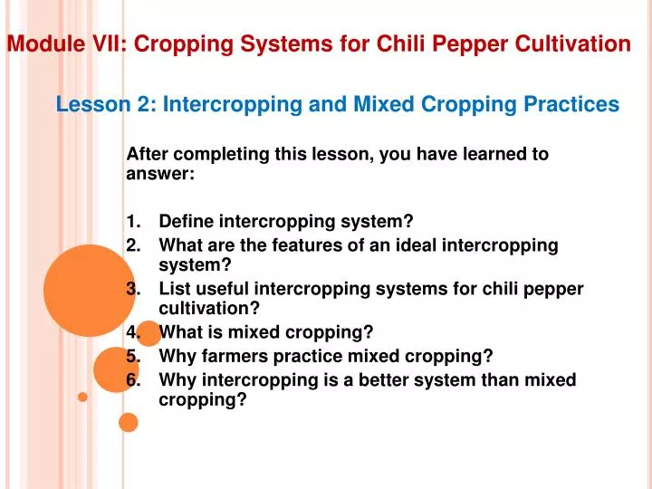 module vii cropping systems for chili pepper cultivation