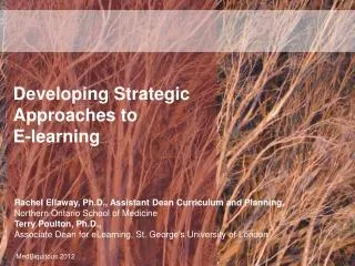 Developing Strategic Approaches to E-learning