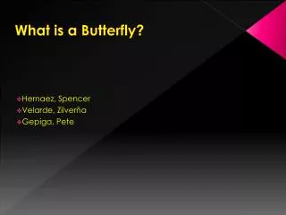 What is a Butterfly?