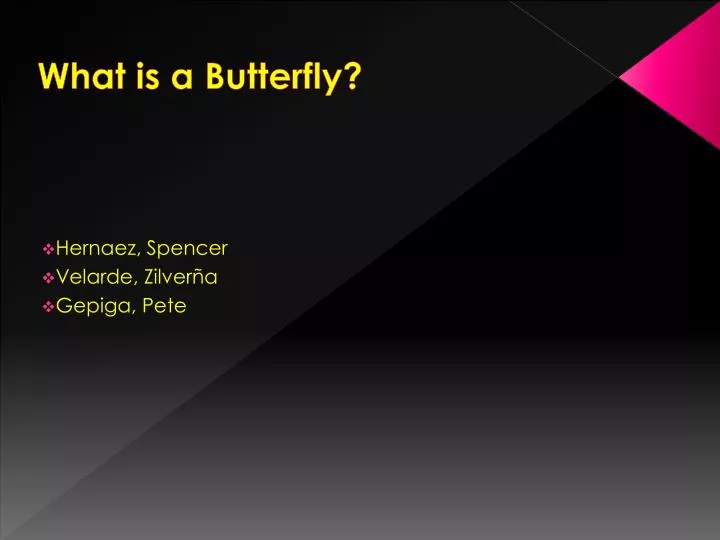 what is a butterfly