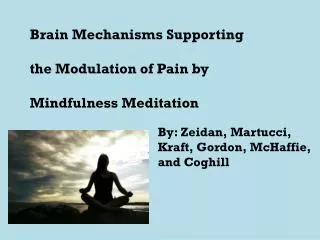 Brain Mechanisms Supporting the Modulation of Pain by Mindfulness Meditation