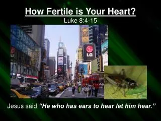 How Fertile is Your Heart? Luke 8:4-15