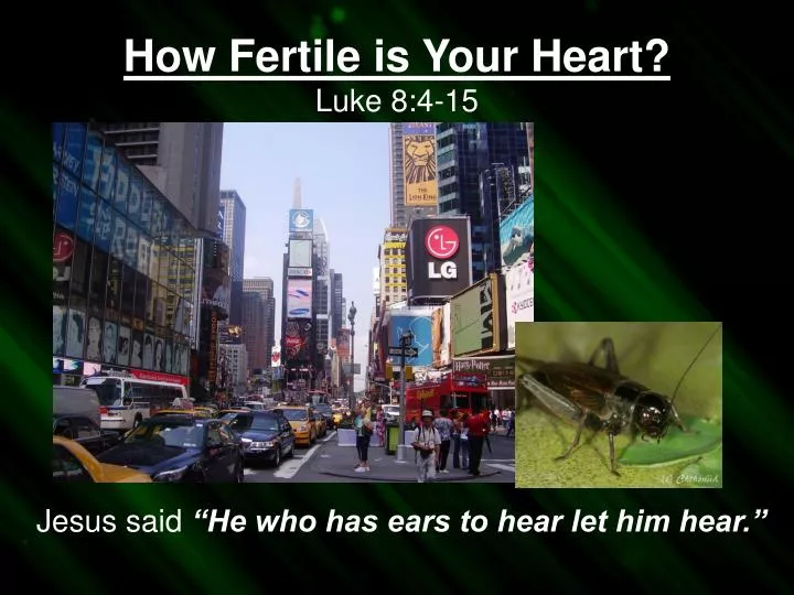 how fertile is your heart luke 8 4 15