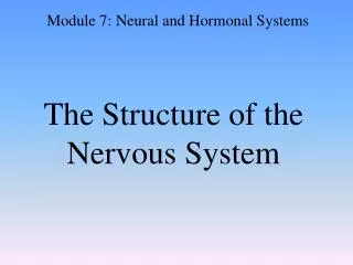 The Structure of the Nervous System