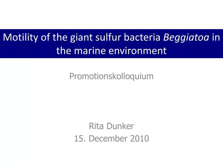 promotionskolloquium rita dunker 15 december 2010