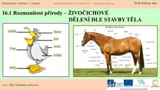 16 1 rozmanitost p rody ivo ichov d len dle stavby t la