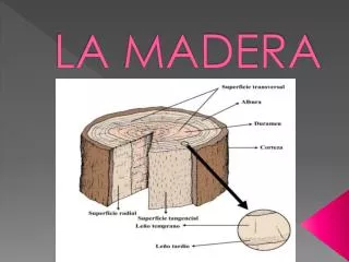la madera