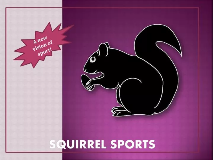 squirrel sports