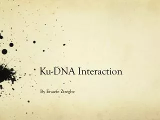 Ku-DNA Interaction