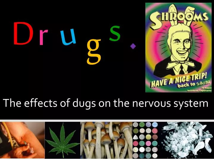 the effects of dugs on the nervous system