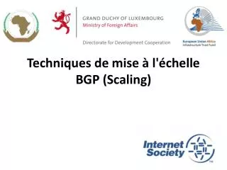 techniques de mise l chelle bgp scaling