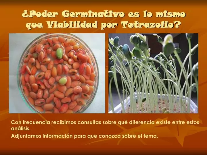 poder germinativo es lo mismo que viabilidad por tetrazolio