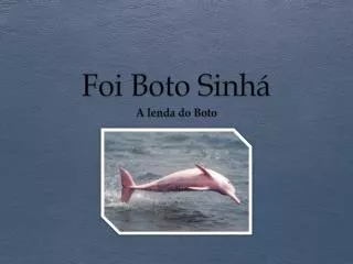 foi boto sinh