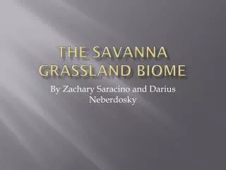 The Savanna grassland biome