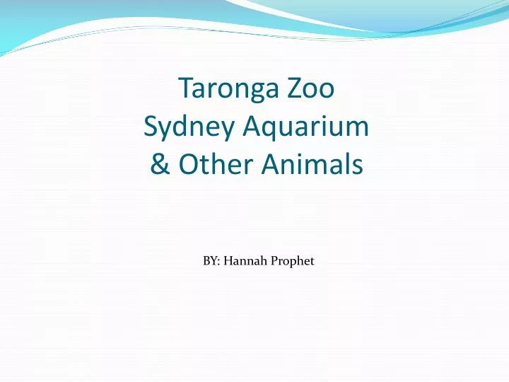 taronga zoo sydney aquarium other animals