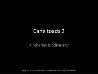 Cane toads 2