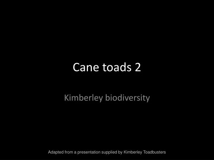 cane toads 2