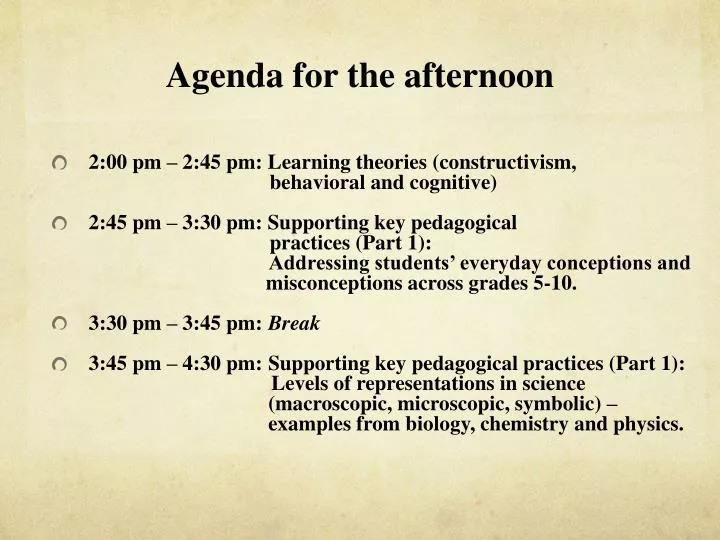 agenda for the afternoon